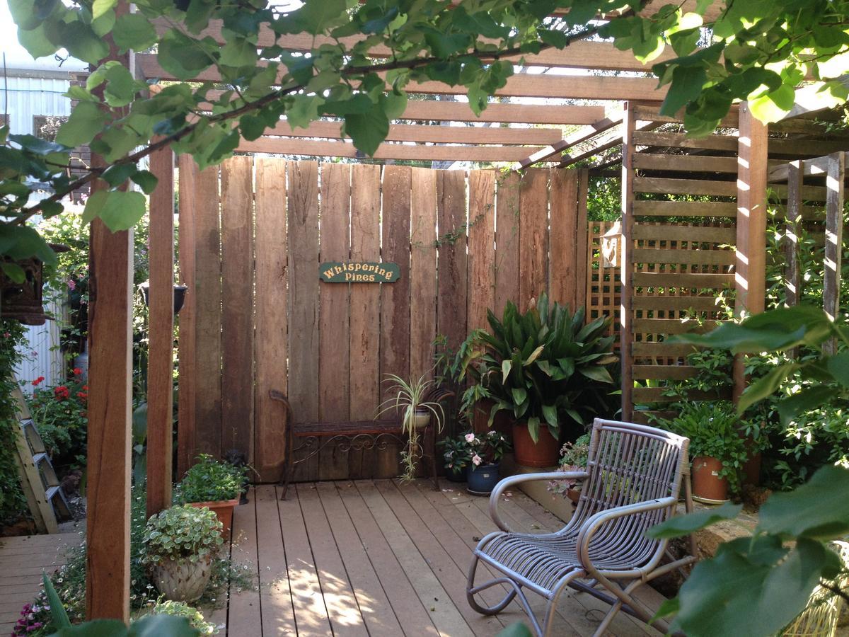 Whispering Pines Bed And Breakfast Collie Екстер'єр фото