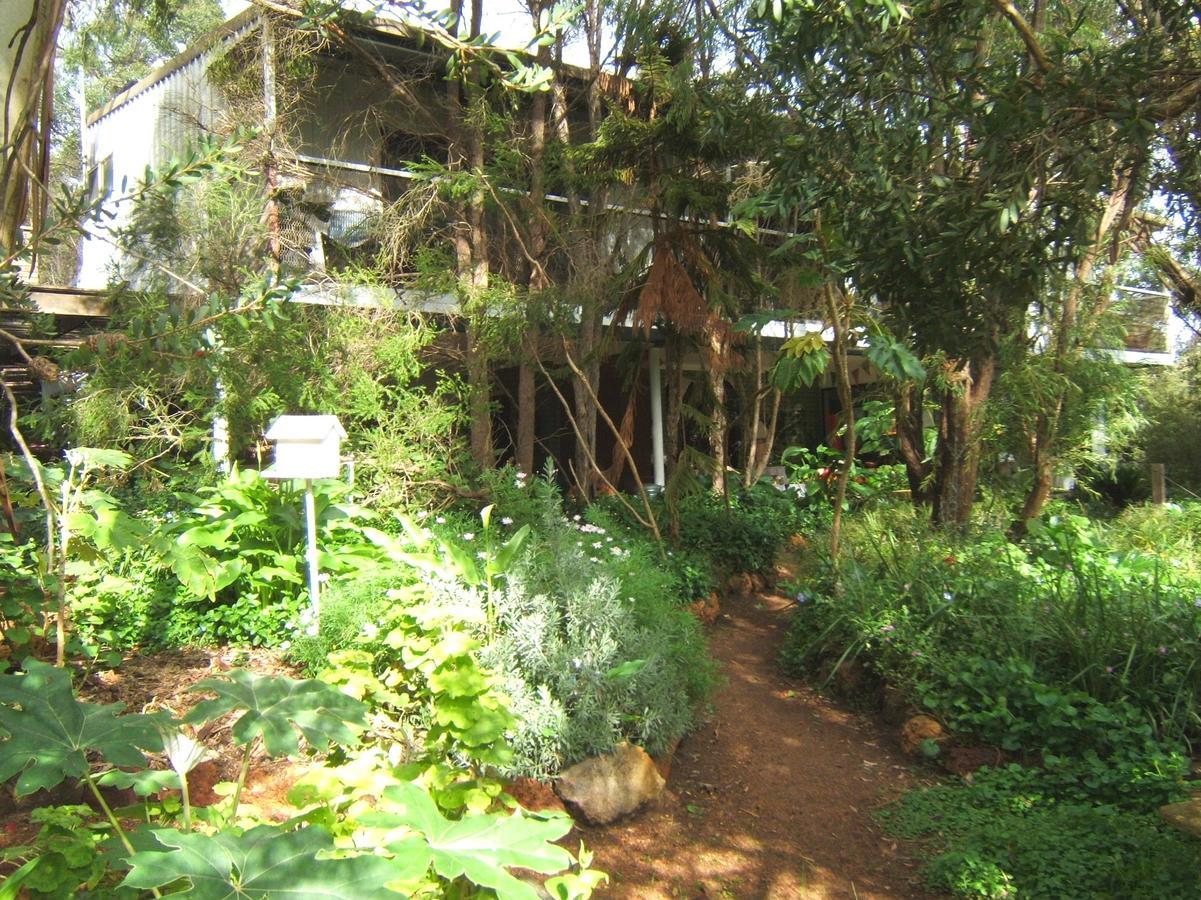 Whispering Pines Bed And Breakfast Collie Екстер'єр фото